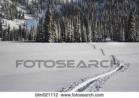Snowy Landscape View Large Photo Image Stock Image - Snowy Landscape. Fotosearch