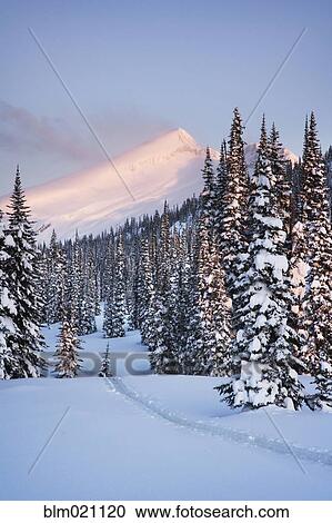 Snowy Landscape View Large Photo Image Stock Image - Snowy Landscape. Fotosearch