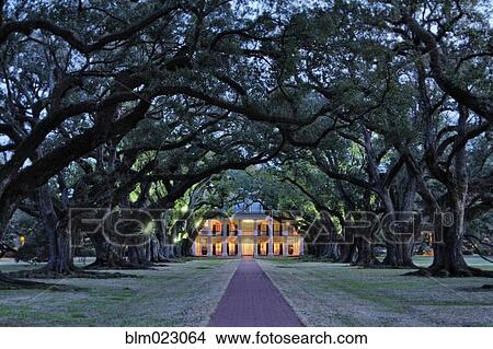 Southern Manor Home at Night View Large Photo Image Picture - Southern Manor Home at Night. Fotosearch