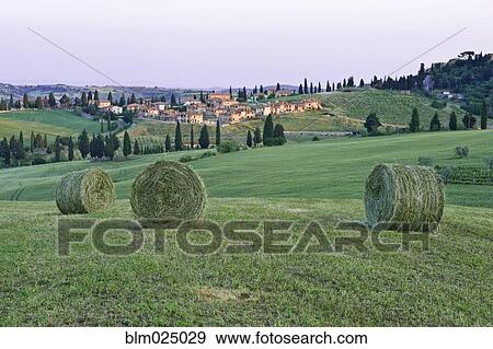 Stock Photo - Spring Hay Harvest. Fotosearch