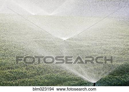 Picture - Sprinklers on Lawn. Fotosearch
