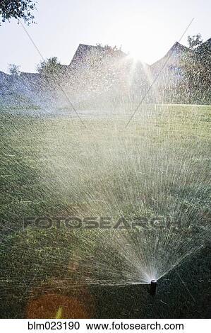 Sprinklers on Lawn View Large Photo Image Stock Image - Sprinklers on Lawn. Fotosearch