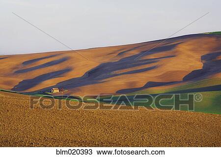 Sunrise landscape in the Palouse Hills, Washington State View Large Photo Image Stock Image - Sunrise landscape in the Palouse Hills, Washington State. Fotosearch