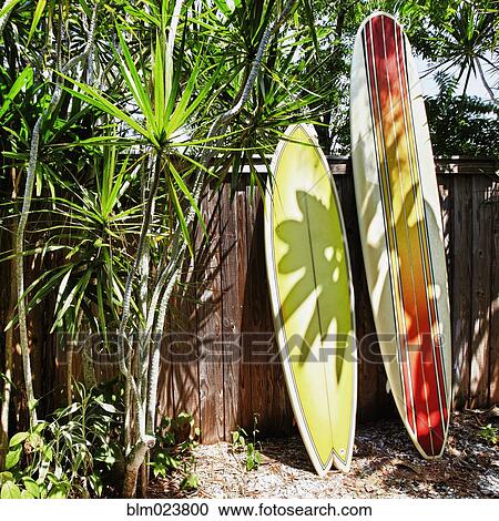 Surfboards Leaning Against a Fence View Large Photo Image Stock Image - Surfboards Leaning Against a Fence. Fotosearch