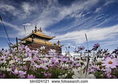 Tashilhunpo Monastery in Shigatse View Large Photo Image Stock Image - Tashilhunpo Monastery in Shigatse. Fotosearch