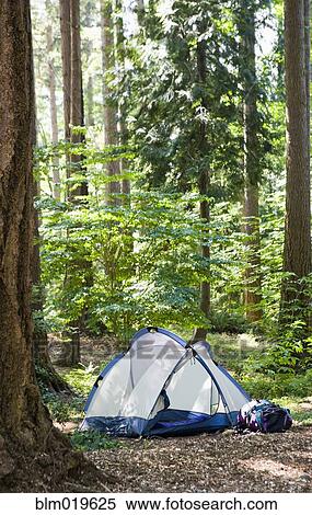 Tent in the Woods View Large Photo Image Stock Photography - Tent in the Woods. Fotosearch