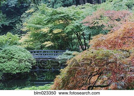 The Japanese Garden in Portland View Large Photo Image Stock Image - The Japanese Garden in Portland . Fotosearch