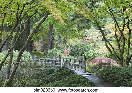 Stock Photo - The Japanese Garden in Portland . Fotosearch