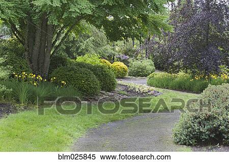 The Oregon Botanic Gardens View Large Photo Image Stock Photography - The Oregon Botanic Gardens. Fotosearch