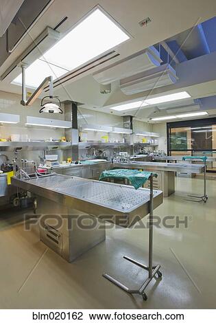 Three autopsy tables at a morgue, medical examiner, or coroner's office View Large Photo Image Stock Image - Three autopsy tables at a morgue, medical examiner, or coroner's office. Fotosearch