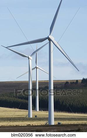 Three wind turbines at Dun Law wind farm View Large Photo Image Stock Photograph - Three wind turbines at Dun Law wind farm. Fotosearch