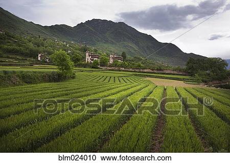 Stock Image - Tibet. Fotosearch