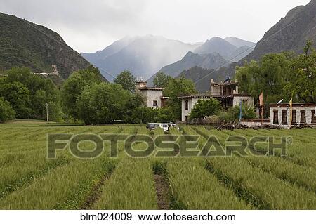 Tibet View Large Photo Image Stock Photo - Tibet. Fotosearch