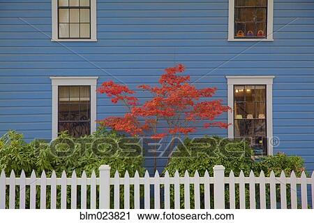 Traditional clapboard painted blue house View Large Photo Image Stock Image - Traditional clapboard painted blue house. Fotosearch