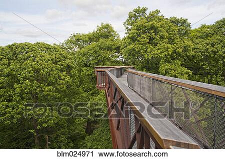 Tree Walkway in Kew Gardens View Large Photo Image Stock Image - Tree Walkway in Kew Gardens. Fotosearch
