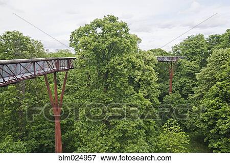 Stock Photo - Tree Walkway in Kew Gardens. Fotosearch
