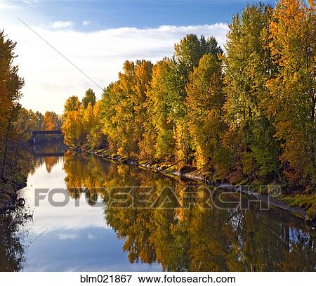 Stock Photo - Trees Along River. Fotosearch