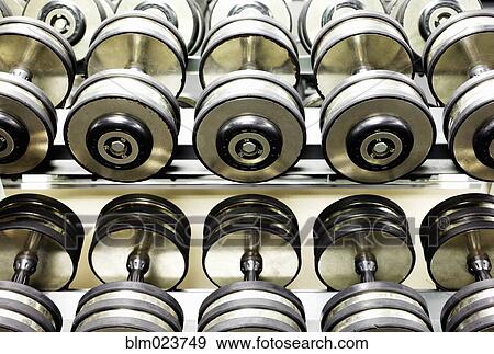 Stock Photo - Two Rows of Dumbbells. Fotosearch