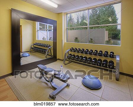 Weight Room with Mirror and Bench View Large Photo Image Stock Photo - Weight Room with Mirror and Bench. Fotosearch