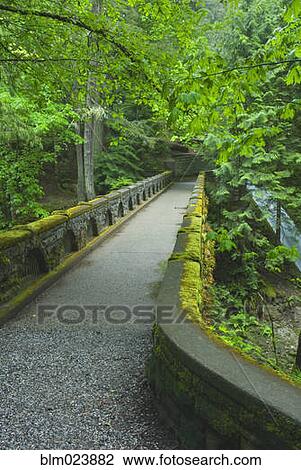 Whatcom Falls Park, Bellingham View Large Photo Image Stock Image - Whatcom Falls Park, Bellingham. Fotosearch