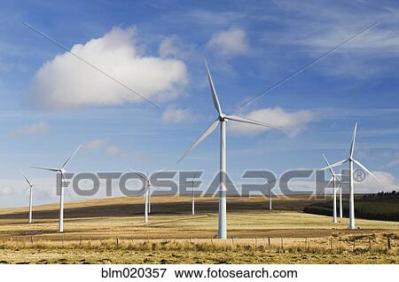 Wind turbines at Dun Law wind farm View Large Photo Image Stock Photo - Wind turbines at Dun Law wind farm. Fotosearch