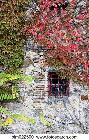 Stock Image - Window in Old Brick and Stone Cottage. Fotosearch