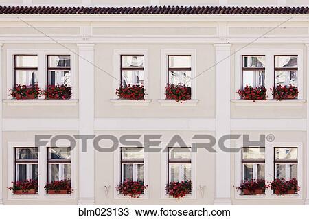 Stock Image - Windows and Window Boxes. Fotosearch