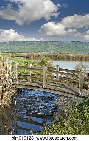 Wooden Bridge Over A Stream View Large Photo Image Stock Photo - Wooden Bridge Over A Stream. Fotosearch