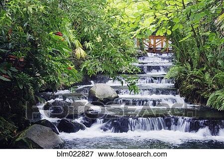 Stock Photo - Wooden Bridge Over Stream in Forest. Fotosearch