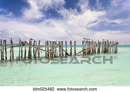 Wooden fence extending into ocean View Large Photo Image Stock Image - Wooden fence extending into ocean. Fotosearch
