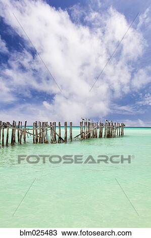 Stock Image - Wooden fence extending into ocean. Fotosearch