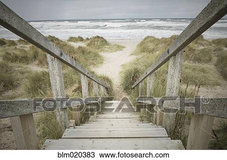 Wooden steps leading down through the dunes onto the shingle beach in winter View Large Photo Image Stock Image - Wooden steps leading down through the dunes onto the shingle beach in winter. Fotosearch