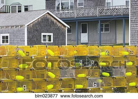 Stock Photo - Yellow lobster buoys . Fotosearch