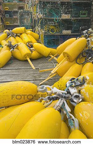Stock Photograph - Yellow lobster buoys . Fotosearch