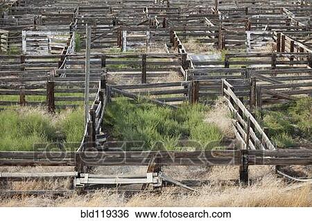 Abandoned stockyard View Large Photo Image Stock Photograph - Abandoned stockyard. Fotosearch