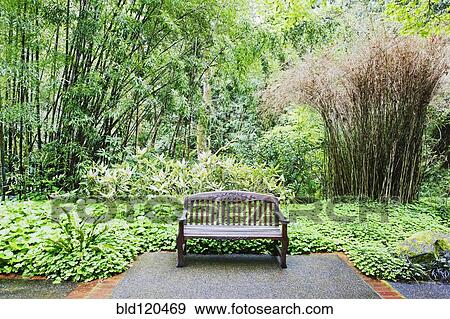 Stock Photo - Bench in lush park, Portland, Oregon, United States. Fotosearch