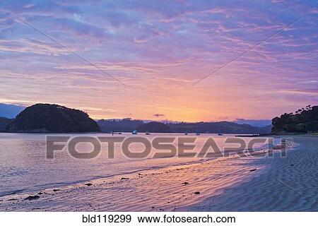 Boats sailing in bay at sunrise, Bay of Islands, Paihia, New Zealand View Large Photo Image Stock Photo - Boats sailing in bay at sunrise, Bay of Islands, Paihia, New Zealand. Fotosearch