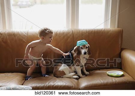 Caucasian boy playing with dog on sofa View Large Photo Image Stock Image - Caucasian boy playing with dog on sofa. Fotosearch