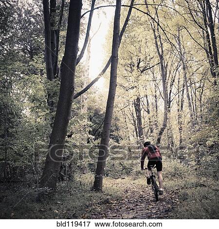 Caucasian man riding mountain bike in forest View Large Photo Image Stock Photo - Caucasian man riding mountain bike in forest. Fotosearch