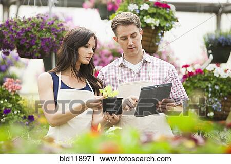 Stock Image - Caucasian people working in plant nursery. Fotosearch