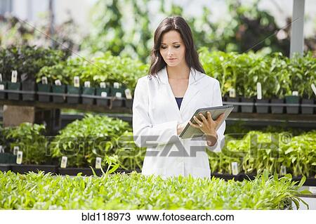 Stock Image - Caucasian scientist working in greenhouse. Fotosearch