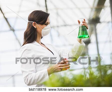 Stock Photo - Caucasian scientist working in greenhouse. Fotosearch