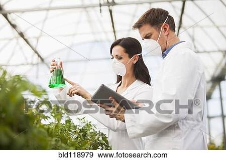 Caucasian scientists working in greenhouse View Large Photo Image Stock Photo - Caucasian scientists working in greenhouse. Fotosearch