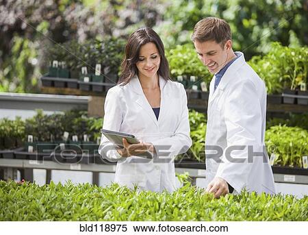 Stock Photography - Caucasian scientists working in greenhouse. Fotosearch