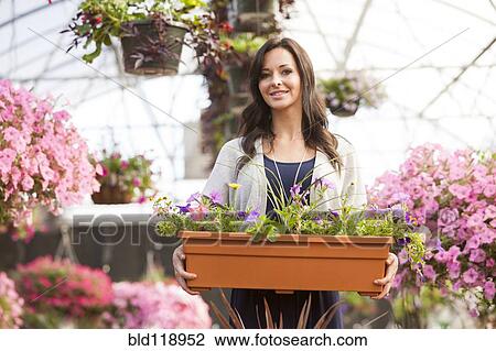 Caucasian woman carrying potted flowers in plant nursery View Large Photo Image Stock Image - Caucasian woman carrying potted flowers in plant nursery. Fotosearch
