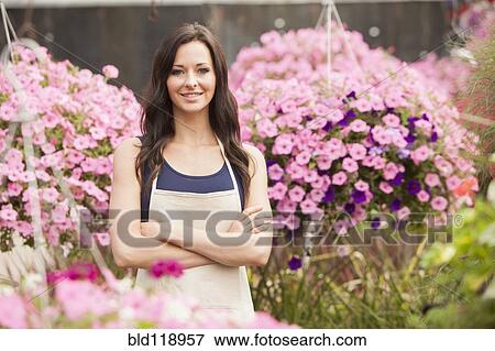 Caucasian woman working in plant nursery View Large Photo Image Stock Photo - Caucasian woman working in plant nursery. Fotosearch