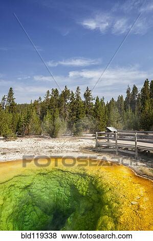 Stock Photo - Colorful geyser, Yellowstone National Park, Wyoming, United States. Fotosearch