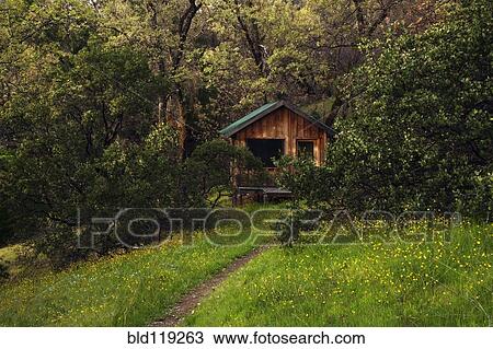 Stock Image - Dirt path leading to wooden house in forest. Fotosearch