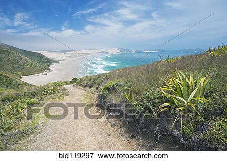 Dirt path on coastal hillside, Te Werahi, Cape Reinga, New Zealand View Large Photo Image Stock Photo - Dirt path on coastal hillside, Te Werahi, Cape Reinga, New Zealand. Fotosearch