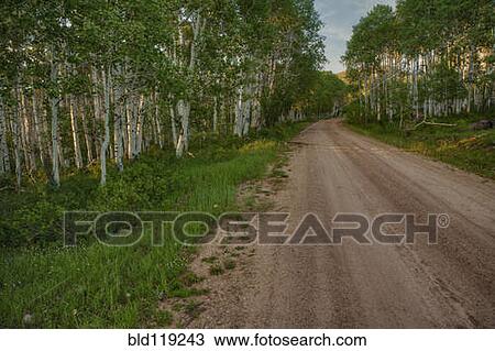 Stock Image - Dirt road in rural landscape. Fotosearch